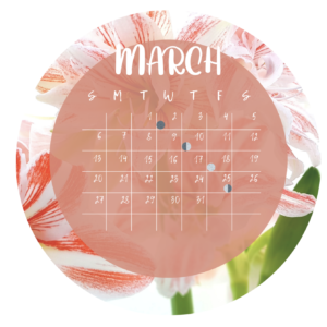 Luna's Sunflower Journal (Autumn) 2022 - Southern Hemisphere