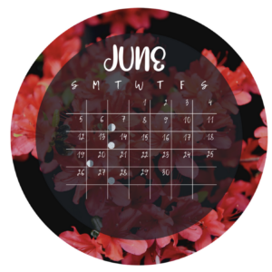 Luna's Sunflower Journal (Winter) 2022 - Southern Hemisphere