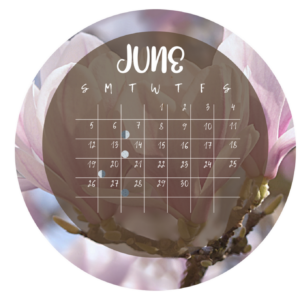 Luna's Sunflower Journal (Summer) 2022 - Northern Hemisphere