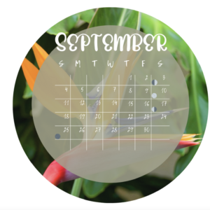 Luna's Sunflower Journal (Spring) 2022 - Southern Hemisphere